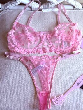 Bed of Roses Pink Heart Embroidered Mesh Lingerie Set Bra Thong Size S NWT